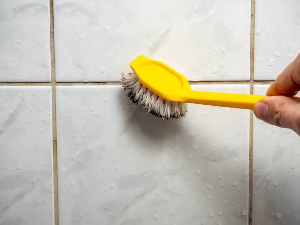 Best Residential Mold Removal  in Missouri Valley, IA