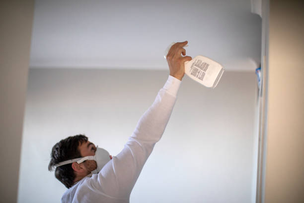 Best Toxic Mold Removal  in Missouri Valley, IA