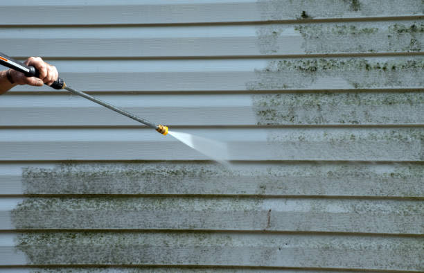 Best Certified Mold Removal  in Missouri Valley, IA