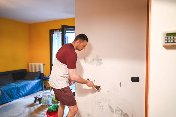 Best Commercial Mold Removal  in Missouri Valley, IA